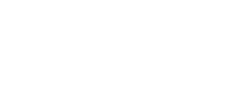 Blip